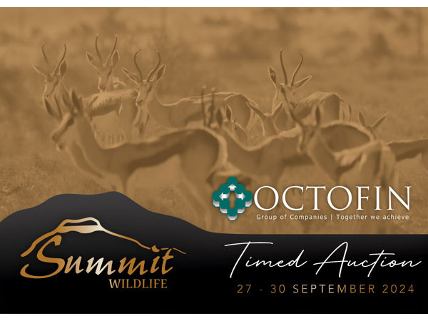 Summit Wildlife Timed Auction 2024 (R 1 106 500)